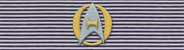 Unit of Distinction: Silver (Fleet)